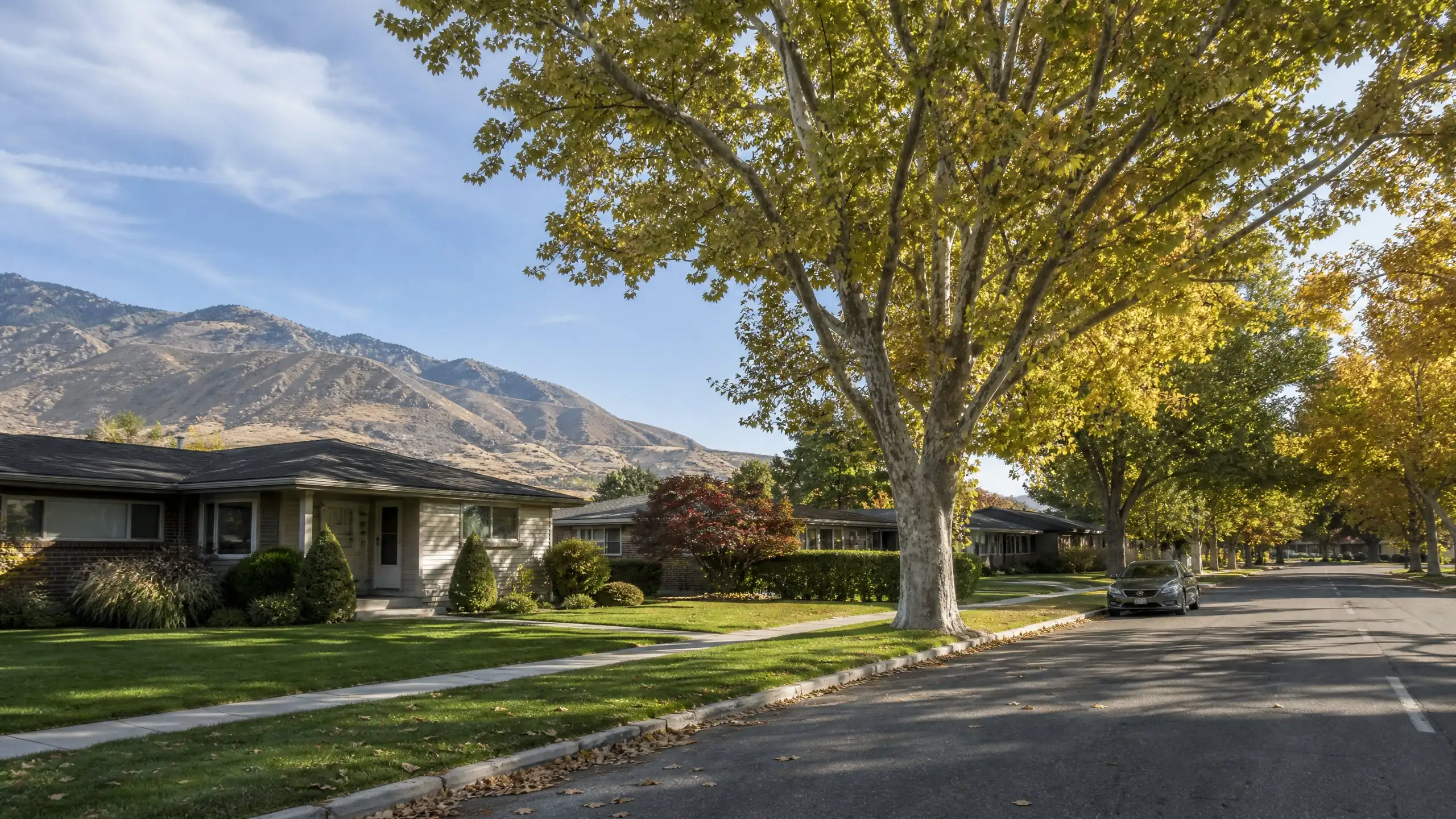Quiet Millcreek street of mid-century ranch homes and mature trees with the Wasatch foothills close behind